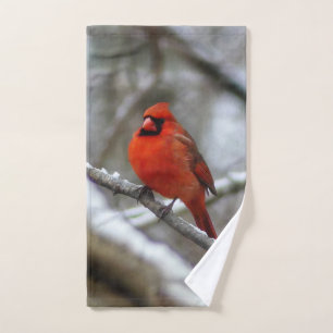 Cardinal masculin