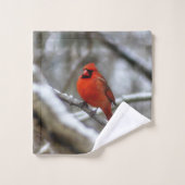 Cardinal masculin (Gant de toilette)