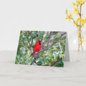 Cardinal masculin à citron - Carte de voeux (Fleur jaune)