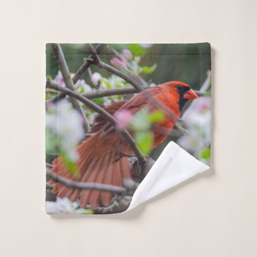 Cardinal masculin au printemps (Gant de toilette)