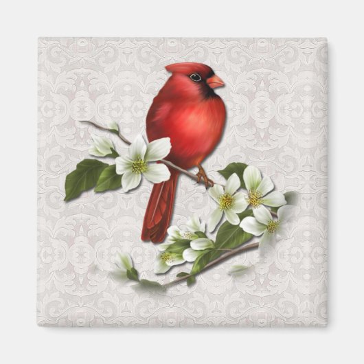 Cardinal masculin sur Dogwood Magnet (Devant)