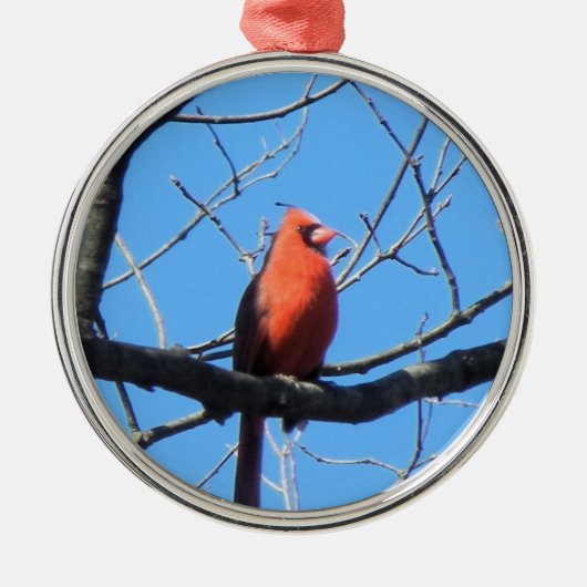 Cardinal Metalen Ornament (Voorkant)