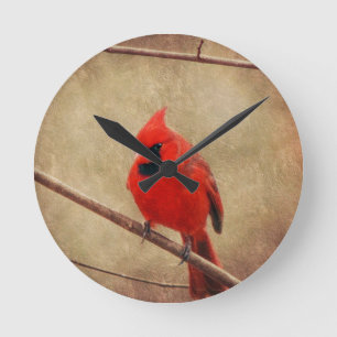 Cardinal Ronde Klok