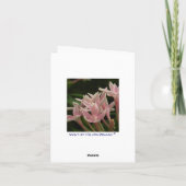 Cardinal Rouge Carte de remerciement pour l'oiseau (Dos)