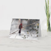 Cardinal rouge dans la carte de Noël de PHOTO de (Dos)