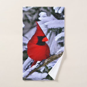 Cardinal rouge d'hiver