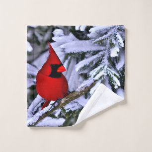 Cardinal rouge d'hiver