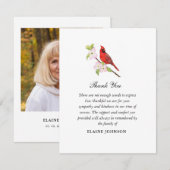 Cardinal Rouge & Merci photo funéraire de Dogwood (Devant / Derrière)