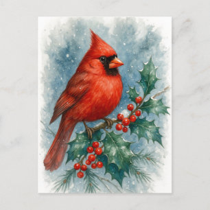 Cardinal rouge sur carte de Noël de houx d'hiver