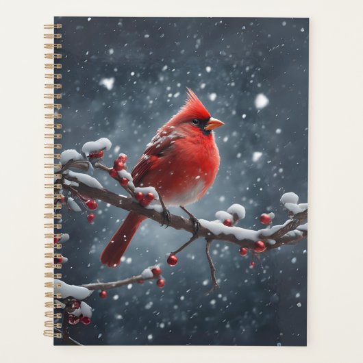 Cardinal rouge sur la branche de l'arbre en neige (Devant)