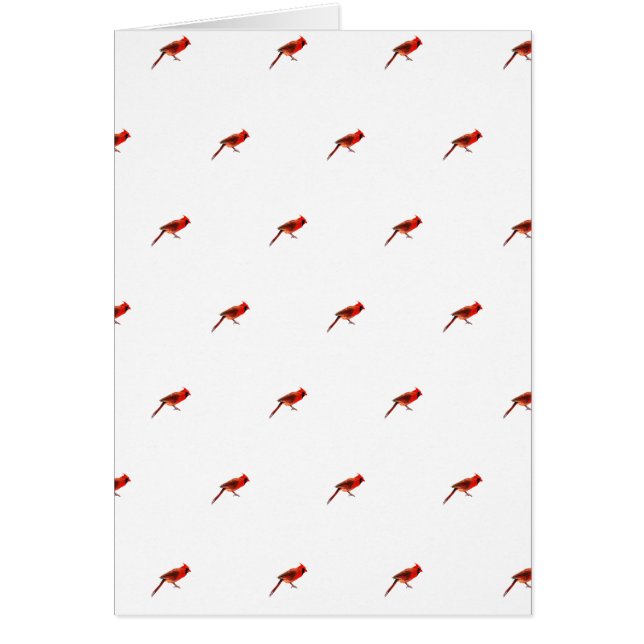 Cardinal(s) (Devant)