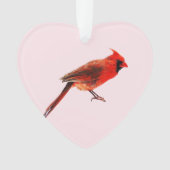 Cardinal(s) (devant)