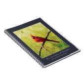 Cardinal Songbird Notebook | Nature Art Journal (Côté Droit)