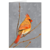 Cardinal sur la peinture de branche - Art original (Devant)