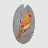 Cardinal sur la peinture de branche - Art original (devant)