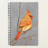 Cardinal sur la peinture de branche - Art original (Devant)