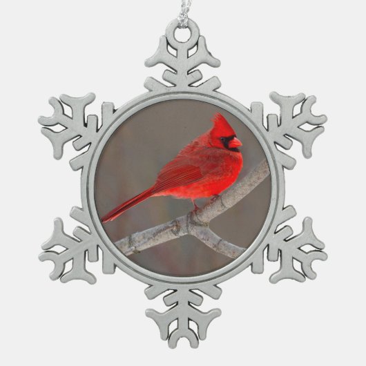 Cardinal Tin Sneeuwvlok Ornament (Voorkant)