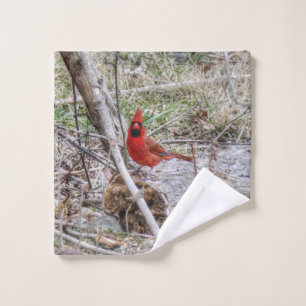 Cardinal vibrant