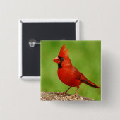 Cardinal Vierkante Button 5,1 Cm (Voorkant /achterkant)