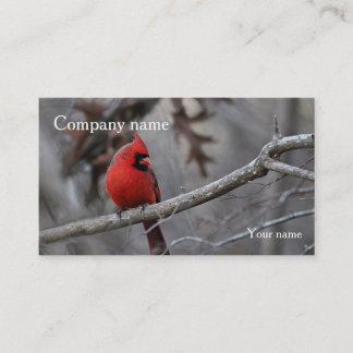 Cardinal Visitekaartje