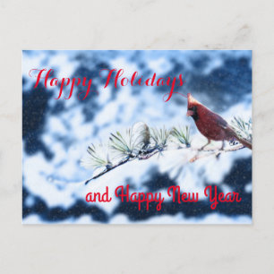 Cardinale Bird Snowy Branch Post Card Feestdagenkaart