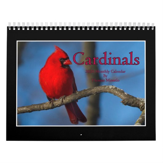 Cardinals 2020 Calendrier Mensuel De Thomas Minuto (Protection)