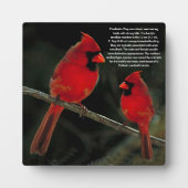 CARDINALS FOTOPLAAT (Voorkant)
