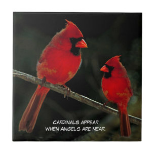 CARDINALS QUOTE CERAMIC TIL TEGELTJE