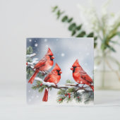 Cardinaux dans la carte de vacances de neige plat (Debout devant)