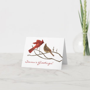 Cardinaux d'hiver Carte de Noël