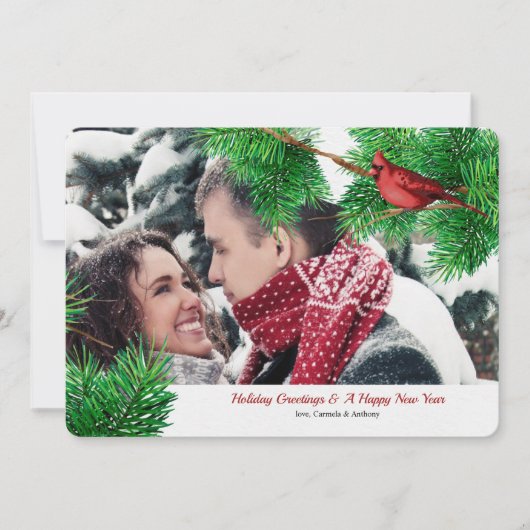 Cardinaux d'hiver Carte de vacances photo (Devant)