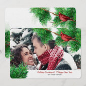 Cardinaux d'hiver Carte de vacances photo (Devant / Derrière)