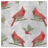 Cardinaux d'hiver et tissu de pins (Fermer)