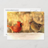 Cardinaux en automne Carte postale (Devant / Derrière)