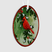 Cardinaux nordiques masculins et féminins (devant)