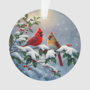 Cardinaux rouges et houx dans la neige