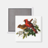 Cardinaux sur un aimant carré (Recto/Verso)