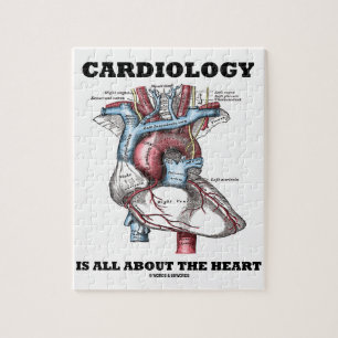 Cardiologie draait allemaal om het hart (anatomisc legpuzzel