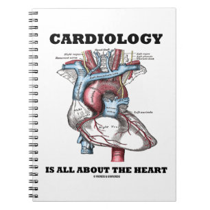 Cardiologie draait allemaal om het hart (anatomisc notitieboek