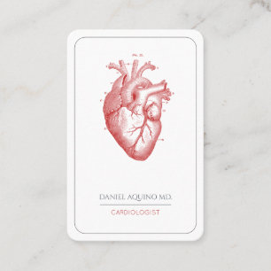 Cardioloog Doctor Anatomical Heart Illustration Visitekaartje