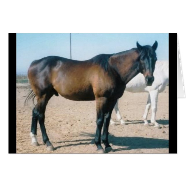 Cardmania (Voorkant Horizontaal)