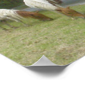 Carefree Ponies Poster (Hoek)