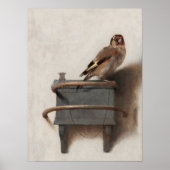 Carel Fabritius De goudvink Art Print Nederlands G (Voorkant)