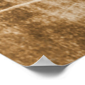 Carénage de Turin - affiche Sudario (Coin)