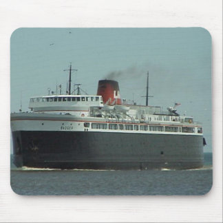 Carferry Badger Muismat