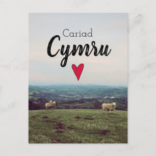 Cariad Cymru  Wales Landscape Boerderij Sheep Briefkaart