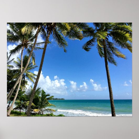 Caribisch eiland, Martinique Poster (Voorkant)