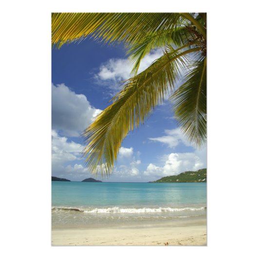 Caribisch gebied, Amerikaanse Maagdeneilanden, St. Foto Afdruk (Voorkant)