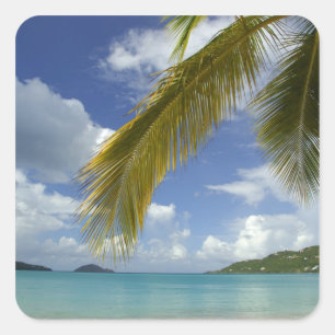 Caribisch gebied, Amerikaanse Maagdeneilanden, St. Vierkante Sticker