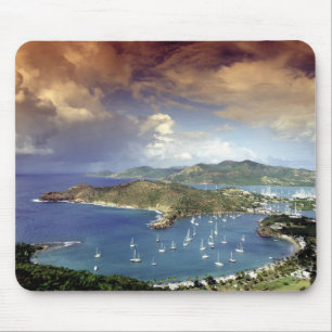 Caribisch gebied, Antigua. Muismat